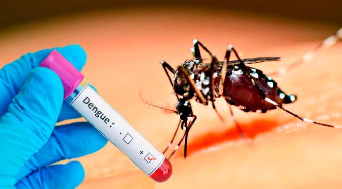 Saúde confirma primer caso de dengue do ano |  Noticias