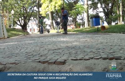 Recuperação das alamedas do Parque Juca Mulato